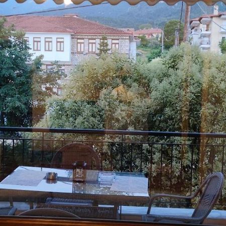 Luxury Apartment Olympus Mountain View Litochoro Exterior foto