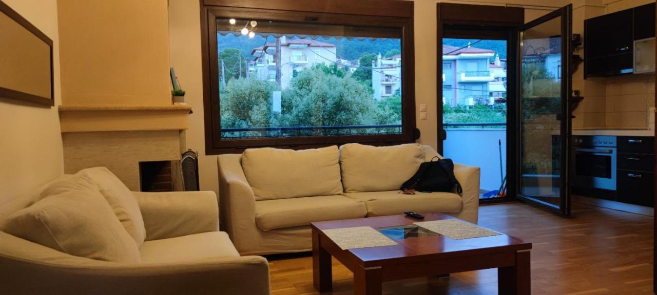 Luxury Apartment Olympus Mountain View Litochoro Exterior foto